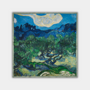 Vincent van Gogh - Drzewa oliwne