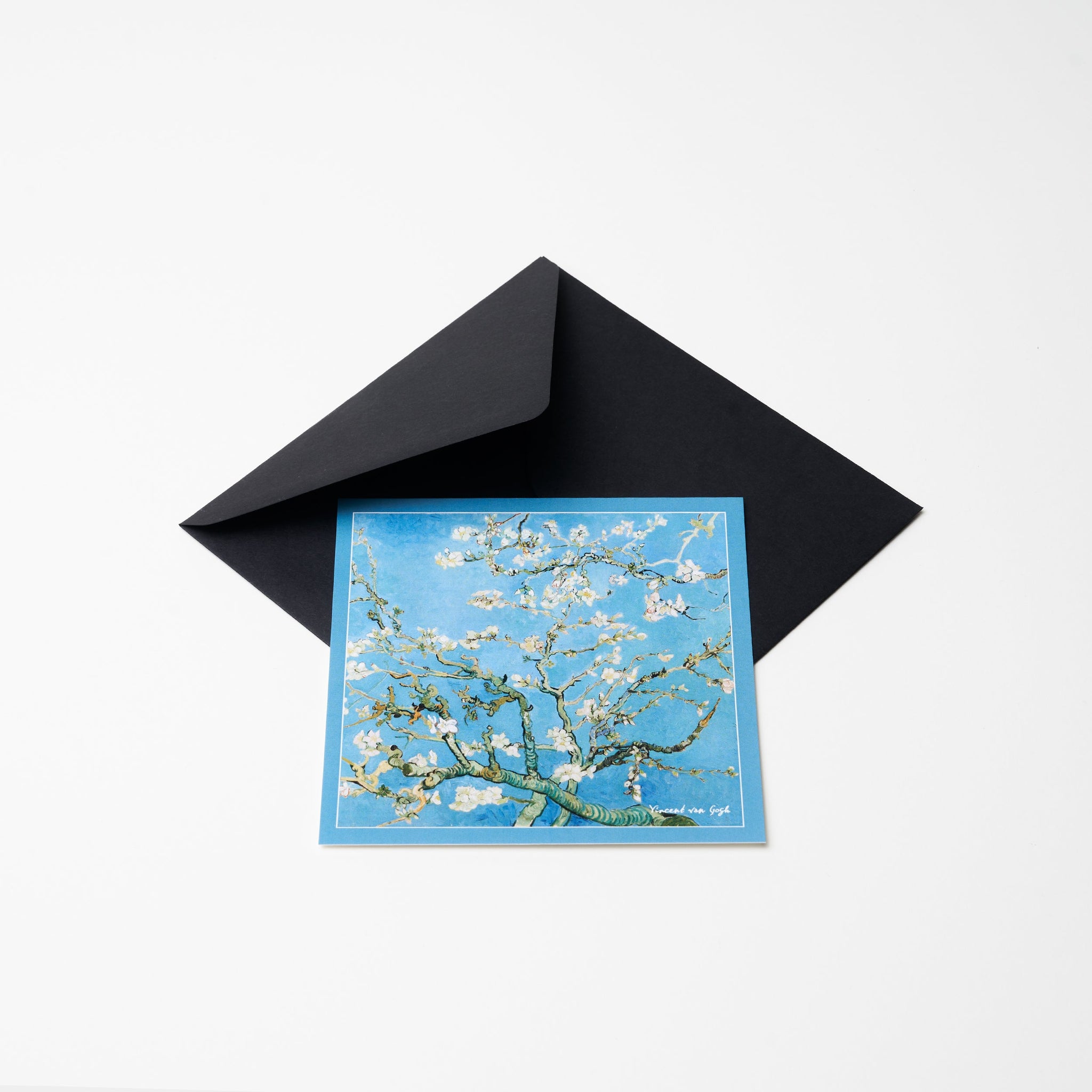 Pocztówka - Kwiaty Migdałowca